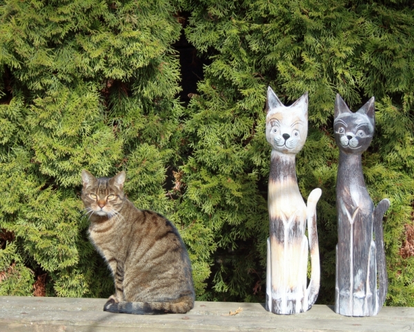 Dřevěná dekorace kočka mourovaná 60cm