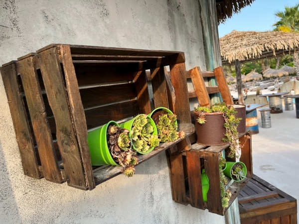 Dřevěné bedýnky sada 3 velikostí - š 46,3/52,5/59 cm