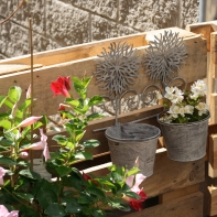 Dvojitý květináč Gerbera pr. 15cm