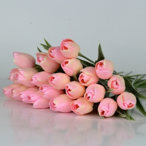 Francouzský tulipán jemně růžový