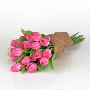 Francouzský tulipán růžovo-bílý 40cm