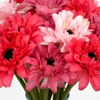 Gerbera svazek růžová 7 kusů 38cm