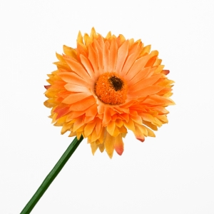 Germina plná oranžová