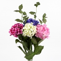 Hortenzie modrá 54cm