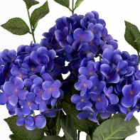 Hortenzie modrá 54cm