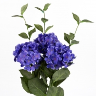 Hortenzie modrá 54cm