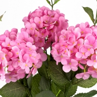 Hortenzie růžová 54cm