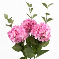 Hortenzie růžová 54cm