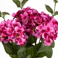 Hortenzie sytě řůžová 54cm