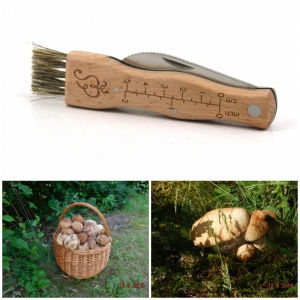 Houbařský nůž 21cm