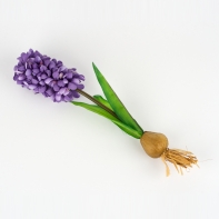 Hyacint fialový 35cm