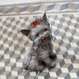 Jorkšírský teriér 4kg