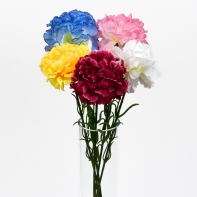 Karafiát růžový 46cm