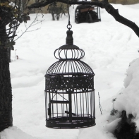 Klec na ptáčka retro 47cm