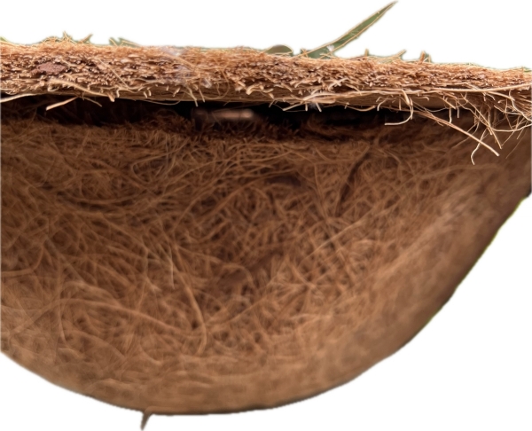 Kokosové vlákno 28,3 cm 