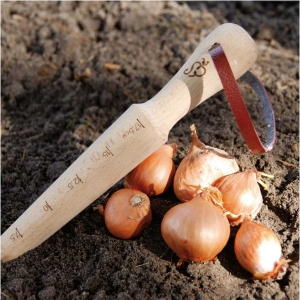 Kolík na sázení s měrkou 26,7 cm