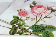 Korková podložka růže 40×30cm (sada 4ks)