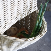 Koš na cibuli / na brambory 25x40x23cm