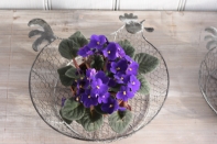 Košíček na vajíčka slepice šedý velký 30,5cm