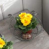 Košíček slepice šedý střední 22x22x4,5cm