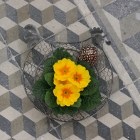 Košíček slepice šedý střední 22x22x4,5cm