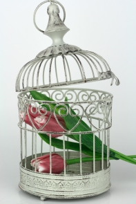 Kovová klec bílá 14x28cm