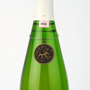 Kovový amulet znamení Lev 24.7 - 22.8 