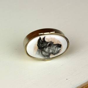 Krabička na léky ovál pes