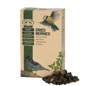 Krmení pro ptáky 0,25 kg 12,5 x 6,5 x 20,4 cm sušené bobule