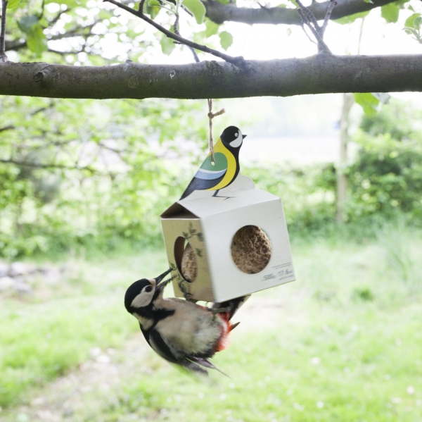 Krmítko pro ptáky lepenkové závěsné s velkou lojovou koulí 10 x 10 x 16 cm sýkora koňadra 