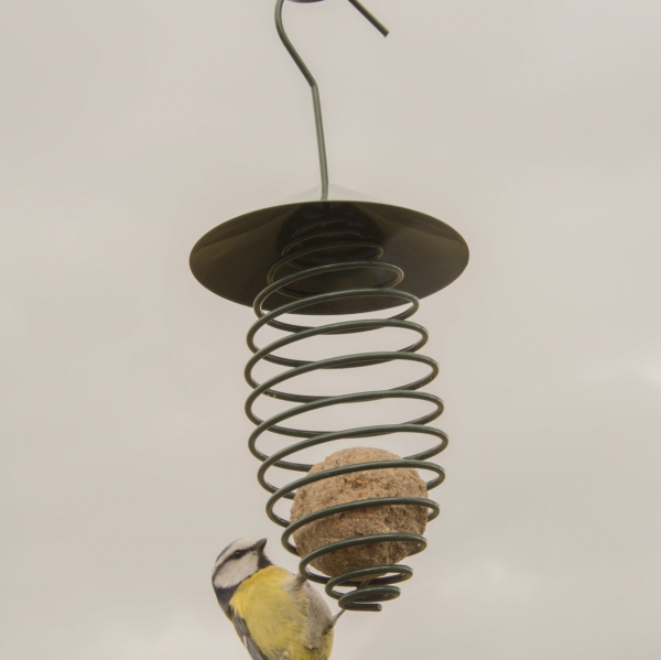 Krmítko pro ptáky na lojové koule se střechou tmavě zelené