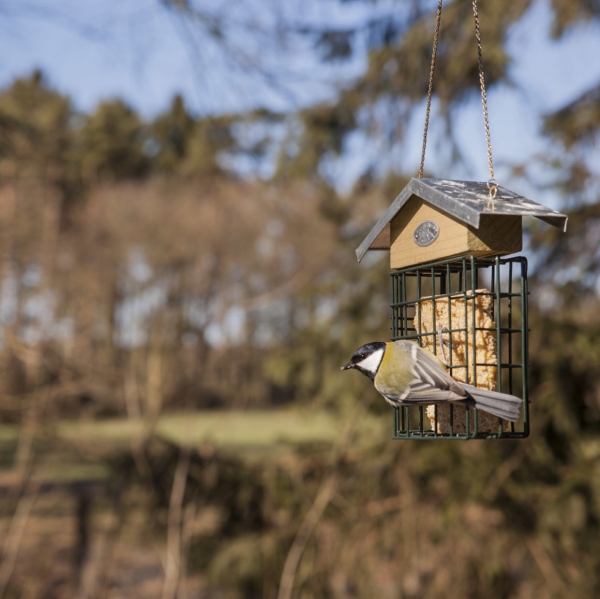 Krmitko pro ptaky na lojový blok