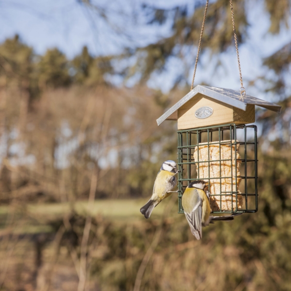 Krmitko pro ptaky na lojový blok