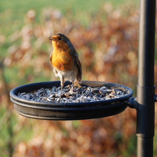 Krmná stanice pro ptáky 75 x 75 x 300 cm kovová