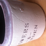 Květináč Flowers Garden 16x14x16 cm - puklina v glazuře