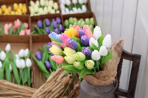 Kytice umělých tulipánů bílé/žluto-červené 17ks 