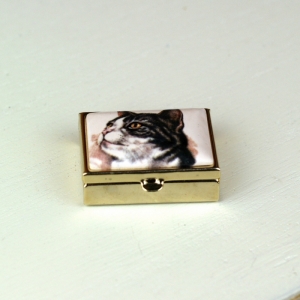 Lékovka černo-bílá kočka