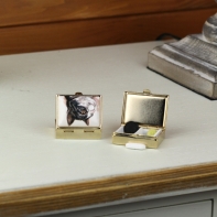 Lékovka černo-bílá kočka