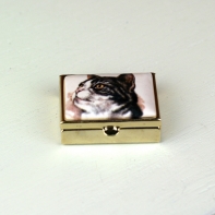 Lékovka černo-bílá kočka