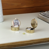 Lékovka kočka šedá kulatá