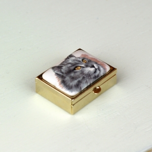 Lékovka kočka šedá obdelník