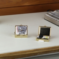 Lékovka kočka šedá obdelník