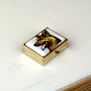 Lékovka pes vlčák obdelník