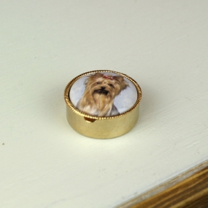 Lékovka pes yorkšír kulatá