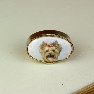 Lékovka pes yorkšírský teriér