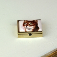 Lékovka s kočičkou obdélník