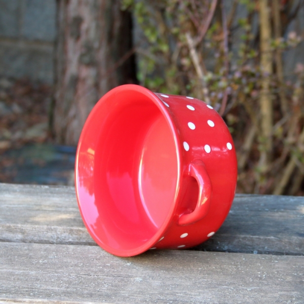 Miska na polévku s uchy 560ml