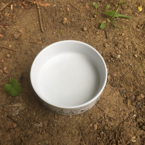 Miska pro středně velkého psa 