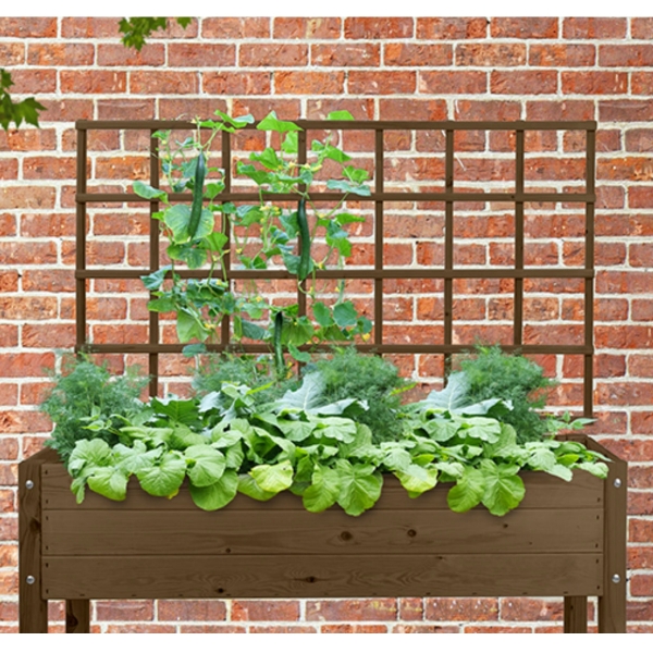 Mřížka pro popínavé rostliny 119x89cm