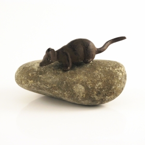 Myš na kameni - vyřazeno